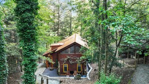 A cabin surrounded by dense forest, with a wooden exterior and a porch area. - Riverside Luxury: Hot Tub, Fire Pit & Fishing Dock! Game Room, Fireplace! (Ellijay)