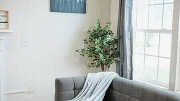 Smart-TV, Kamin