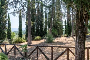 Property grounds - Apartment 'Frantoio' with Shared Pool, Shared Garden and Wi-Fi (Anghiari)