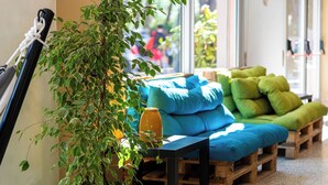 A cozy seating area with a blue sofa and green cushions, a potted plant, and a guitar leaning against the wall. - Meet Hostel Cervia (Cervia)
