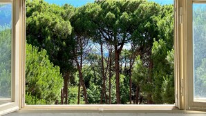 A window with a view of dense green trees and a clear blue sky. - Meet Hostel Cervia (Cervia)