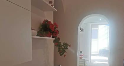 The Sunflower, whole house 5 minutes from Museum, Cathedral, beach and movida