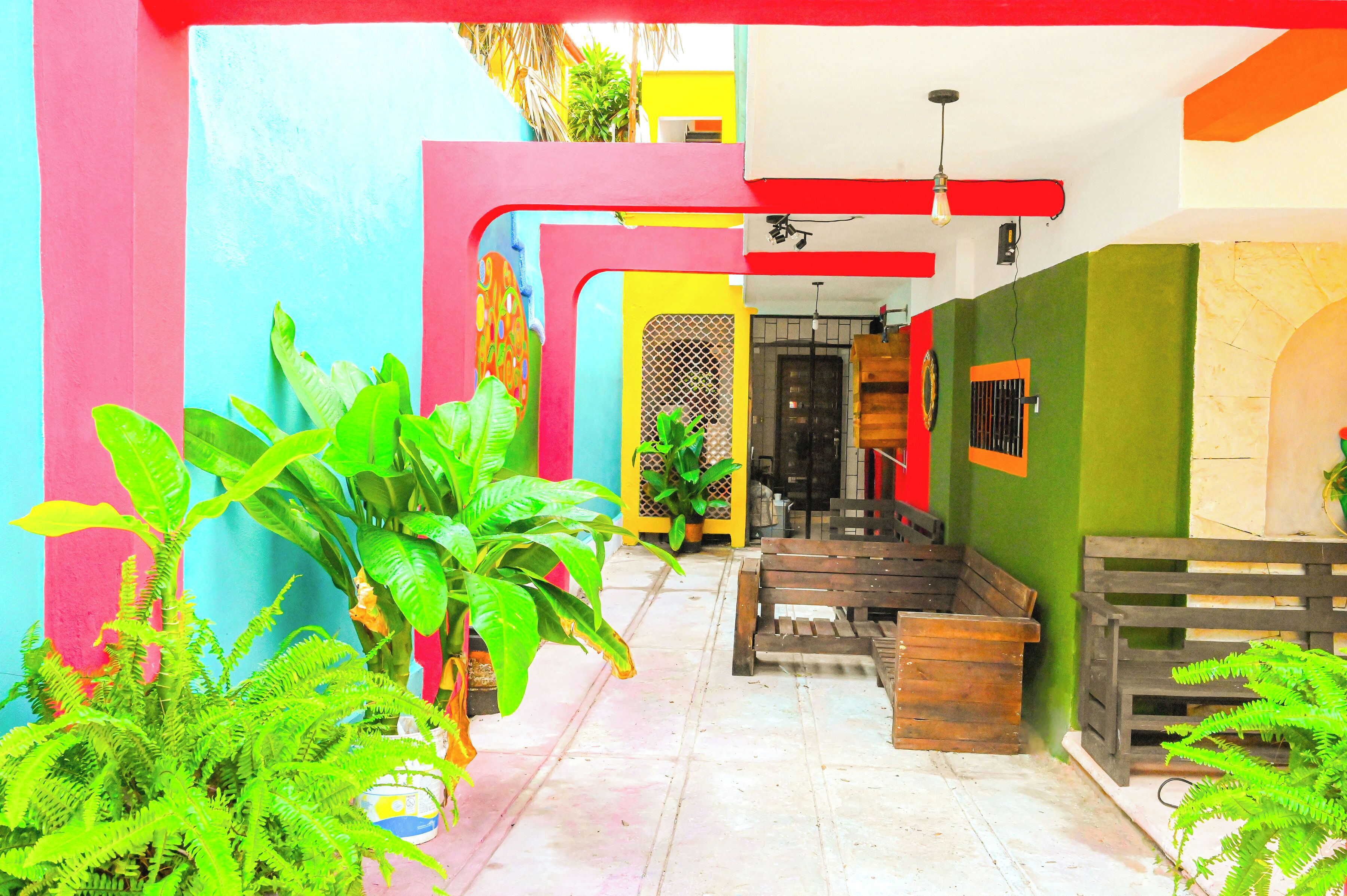 Un interior colorido con un banco de madera y plantas en macetas.