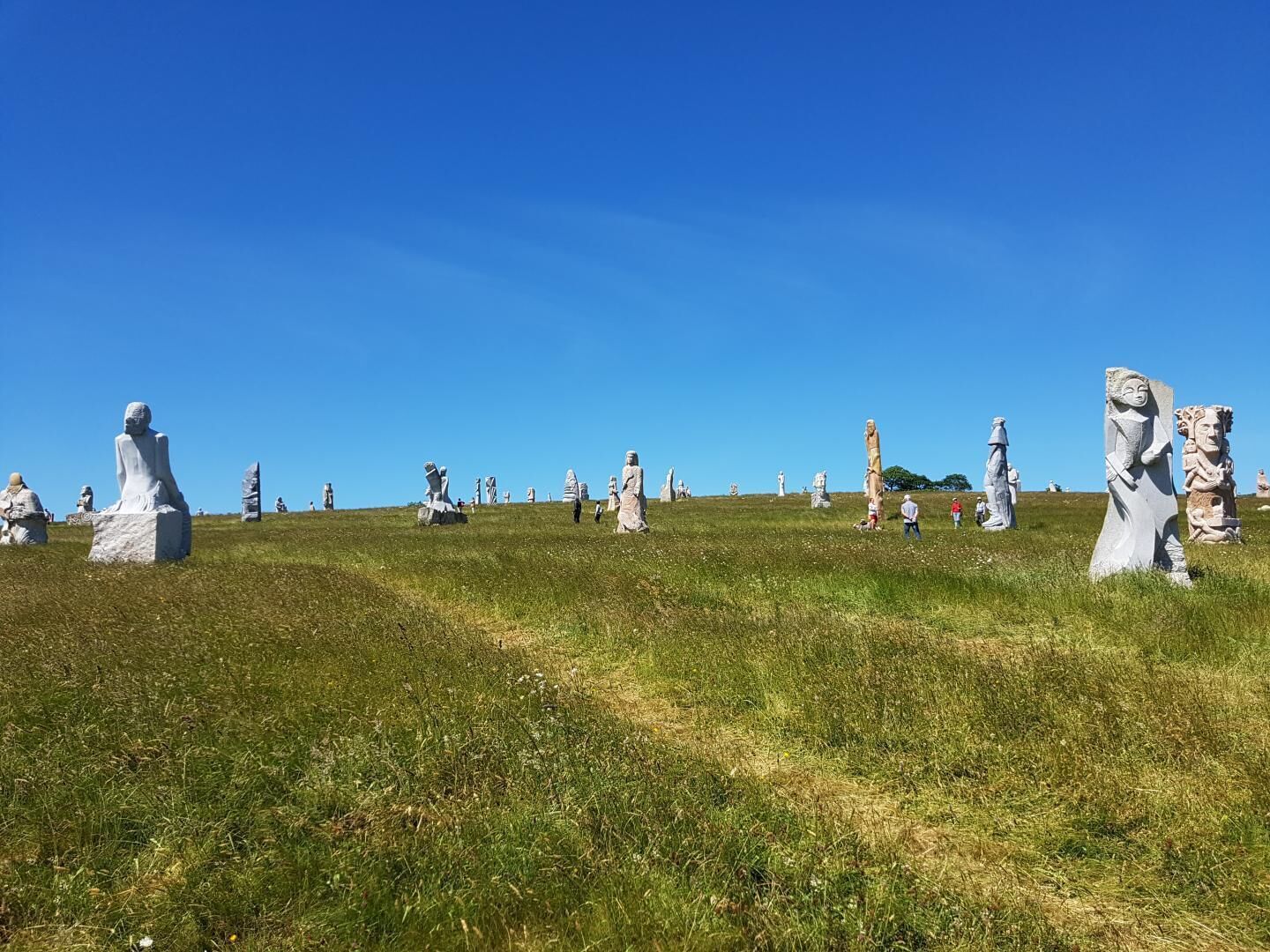 A grassy field with numerous stone statues scattered across it.