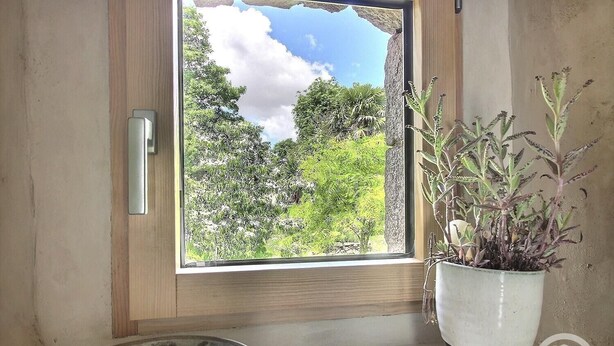 A window with a view of a lush garden, a potted plant on the windowsill, and a decorative bowl on the windowsill. - De Rulinen - Orchard side (SAINT CLET)