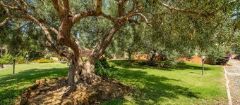 Ferienwohnung 'Villa Erica Appartamento Yuri' mit Bergblick, WLAN und Klimaanlage