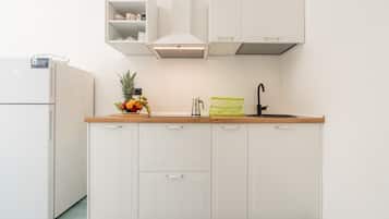 Fridge, oven, stovetop, coffee/tea maker