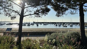 A marina with boats docked, surrounded by trees and a grassy area with flowers.