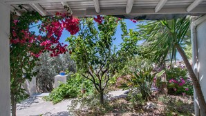 Un jardin agrémenté d’une pergola, de différentes plantes et d’un arbre dont les fruits pendent.
