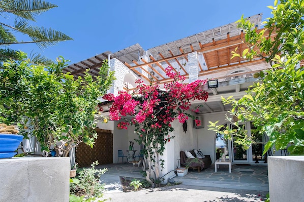 A courtyard with a pergola, potted plants, and a seating area.