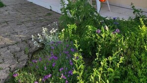 A covered outdoor seating area with white plastic chairs and a table, a door, and a small garden with various plants and flowers. - Le Marguette - PEPPERS (POIVRES)