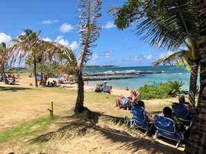 On the beach, sun-loungers, beach towels - Ocean view 2 bedroom centrally located condo. Steps from the ocean! (Lihue)
