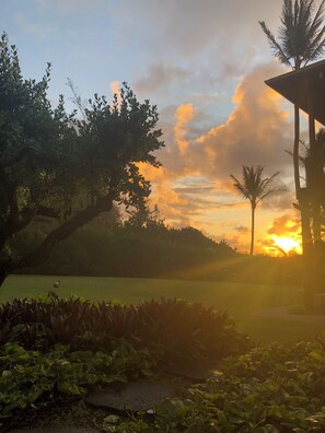 Property grounds - Ocean view 2 bedroom centrally located condo. Steps from the ocean! (Lihue)