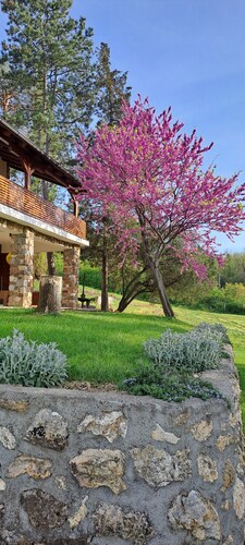 Felicita
Vila in nature suitable for accommodation during the EXIT festival!