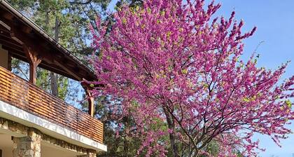 Felicita
Vila in nature suitable for accommodation during the EXIT festival!