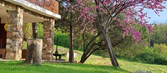 Felicita
Vila in nature suitable for accommodation during the EXIT festival!