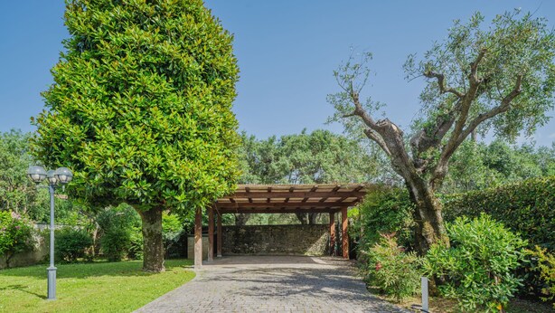 Un vialetto lastricato conduce a una pergola in un giardino curato, con alberi e siepi diversi.