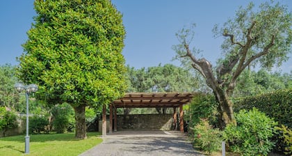 Villa Giuliana by Interhome
