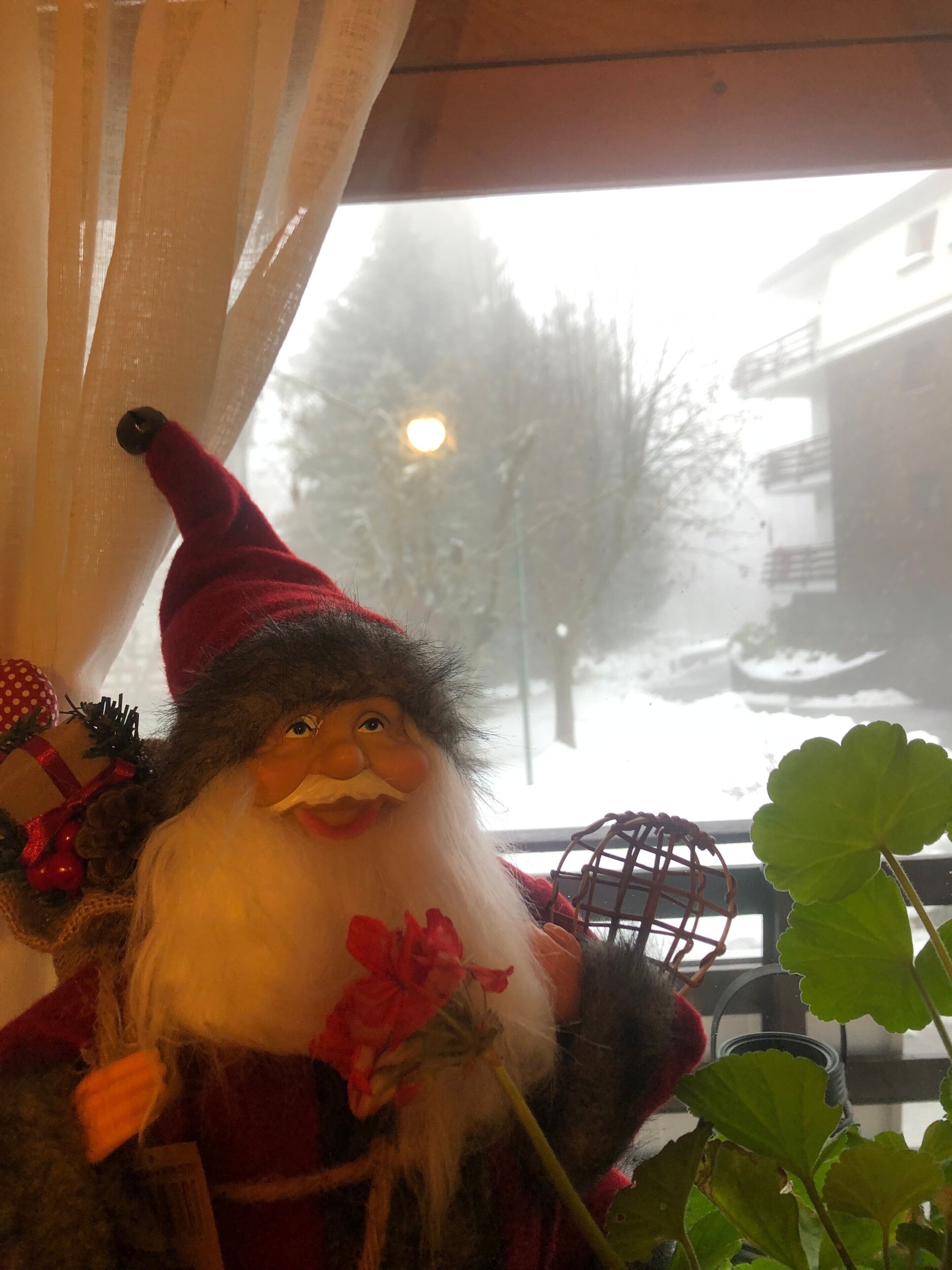 Una habitación con ventana, una planta y un adorno con forma de Papá Noel.