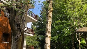 Une cour bordée d’arbres, avec un bâtiment doté d’un balcon.