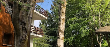 Un pati arbrat amb un edifici que té un balcó.