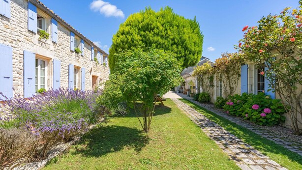 Un étroit sentier pavé, bordé de bâtiments en pierre dotés de volets, avec un arbre au centre et des plantes en fleurs.