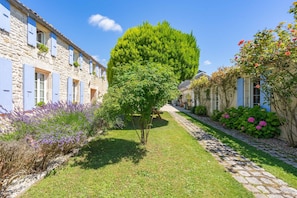 A narrow cobblestone pathway flanked by stone buildings with shutters, a central tree, and flowering plants.