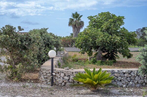 Overnattingsstedets uteområder