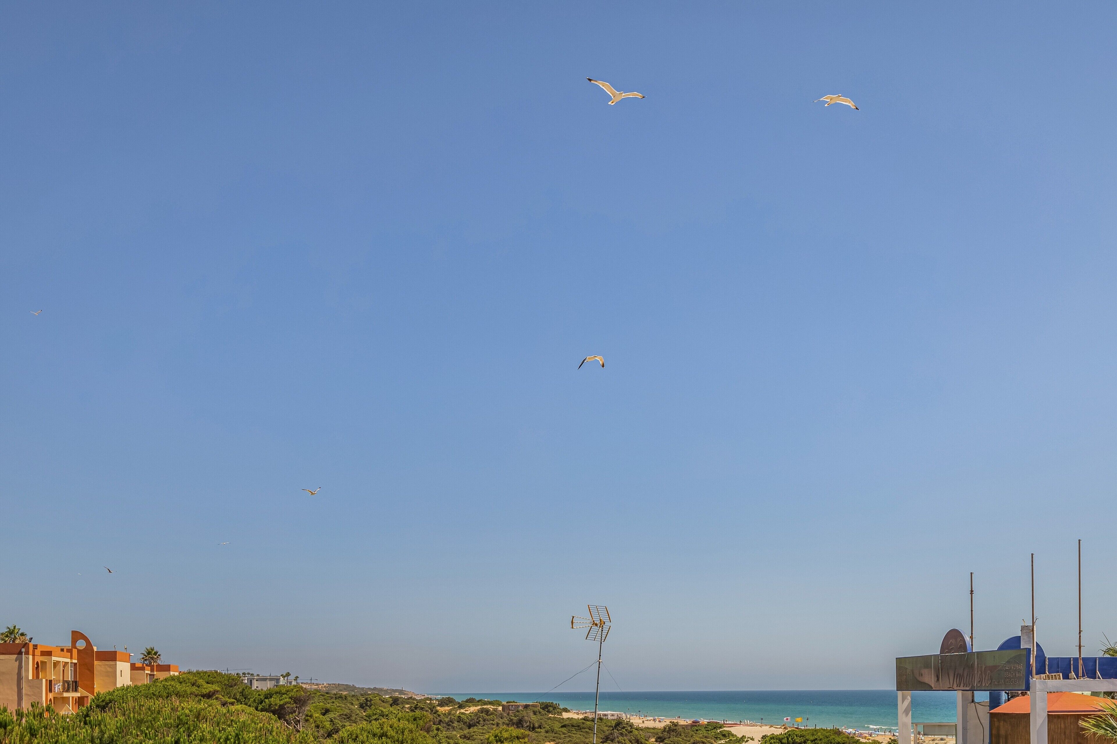 A coastal landscape with buildings, a beach, and a clear sky.