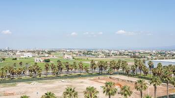 Amplia vista de un paisaje urbano costero con palmeras, un puerto deportivo y edificios industriales.