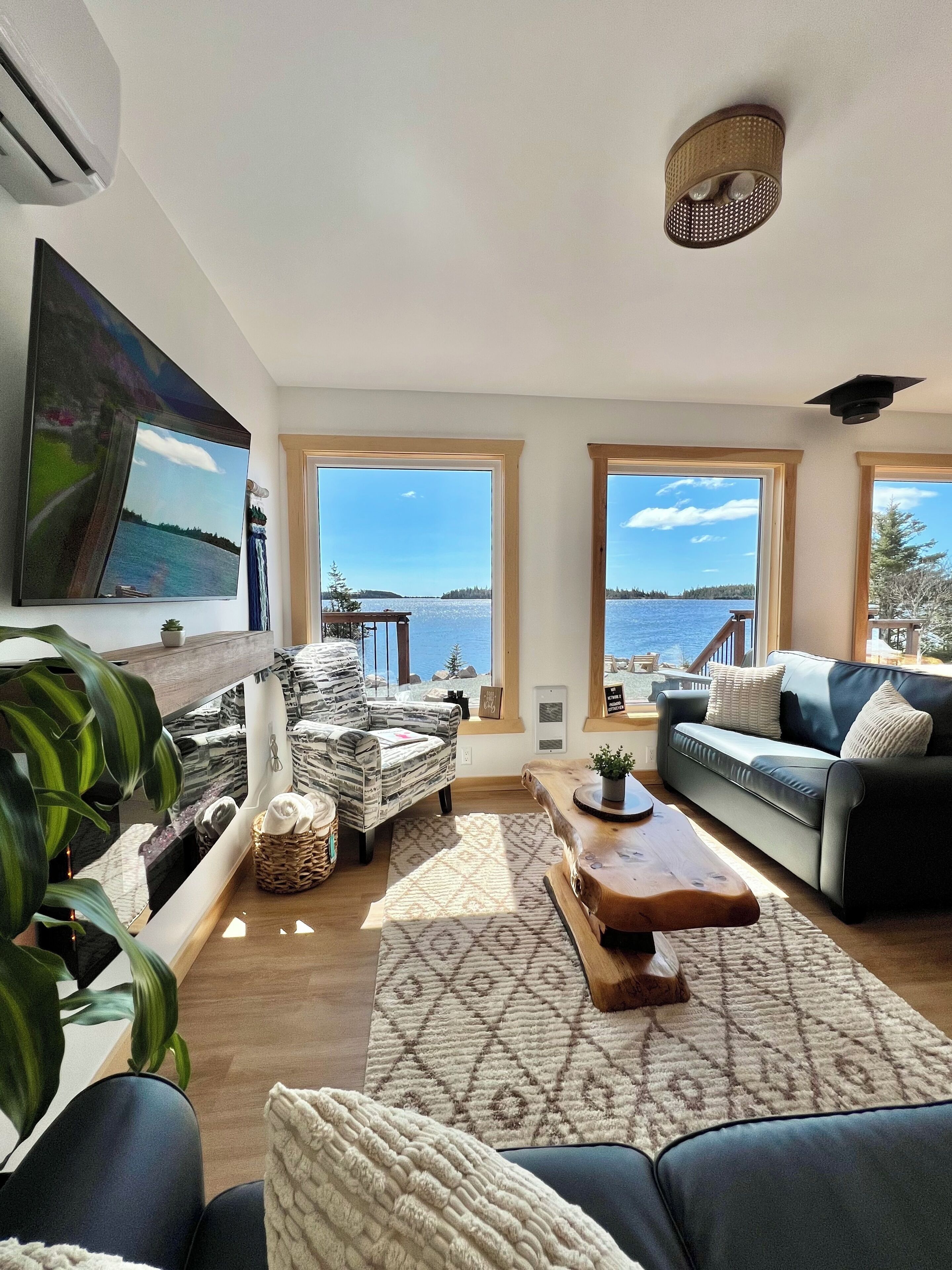 Televisor intel·ligent, llar de foc i llibres 