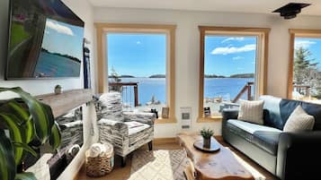 Televisor intel·ligent, llar de foc i llibres