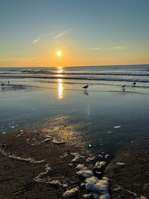 Beach - Wells Charmer 2 Bed close to Wells Beach, Restaurants, AC, WiFi. 
Sleeps 6, Deck (Wells)