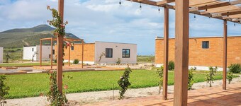 Single Cabin #5 - Oak Point