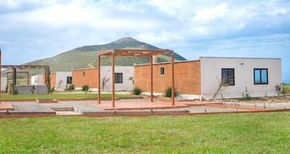 Double Cabin #9 - Oak Point