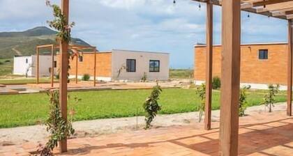 Double Cabin #9 - Oak Point