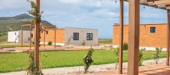 Double Cabin #9 - Oak Point