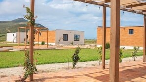 A modern building with a wooden pergola structure, a paved patio, and a grassy area with small plants.