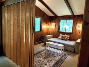 TV connectée, cheminée, lecteur de DVD, livres