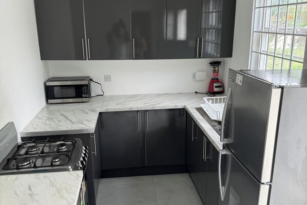 Fridge, microwave, oven, stovetop