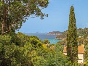 A coastal landscape with dense greenery, a tall cypress tree, and a view of the sea and distant hills.