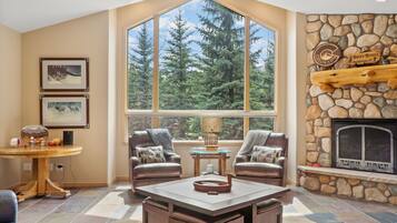 TV, fireplace, video games, books