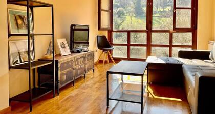 304A La Casina de Noah en Soto de Luiña