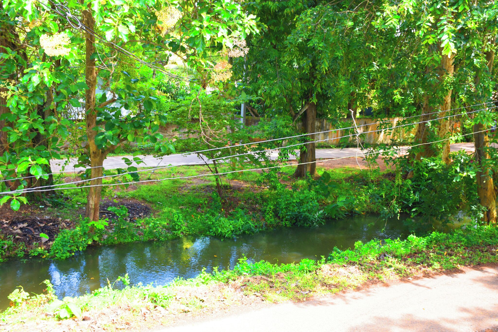 A serene riverside path with lush greenery and a calm water body.