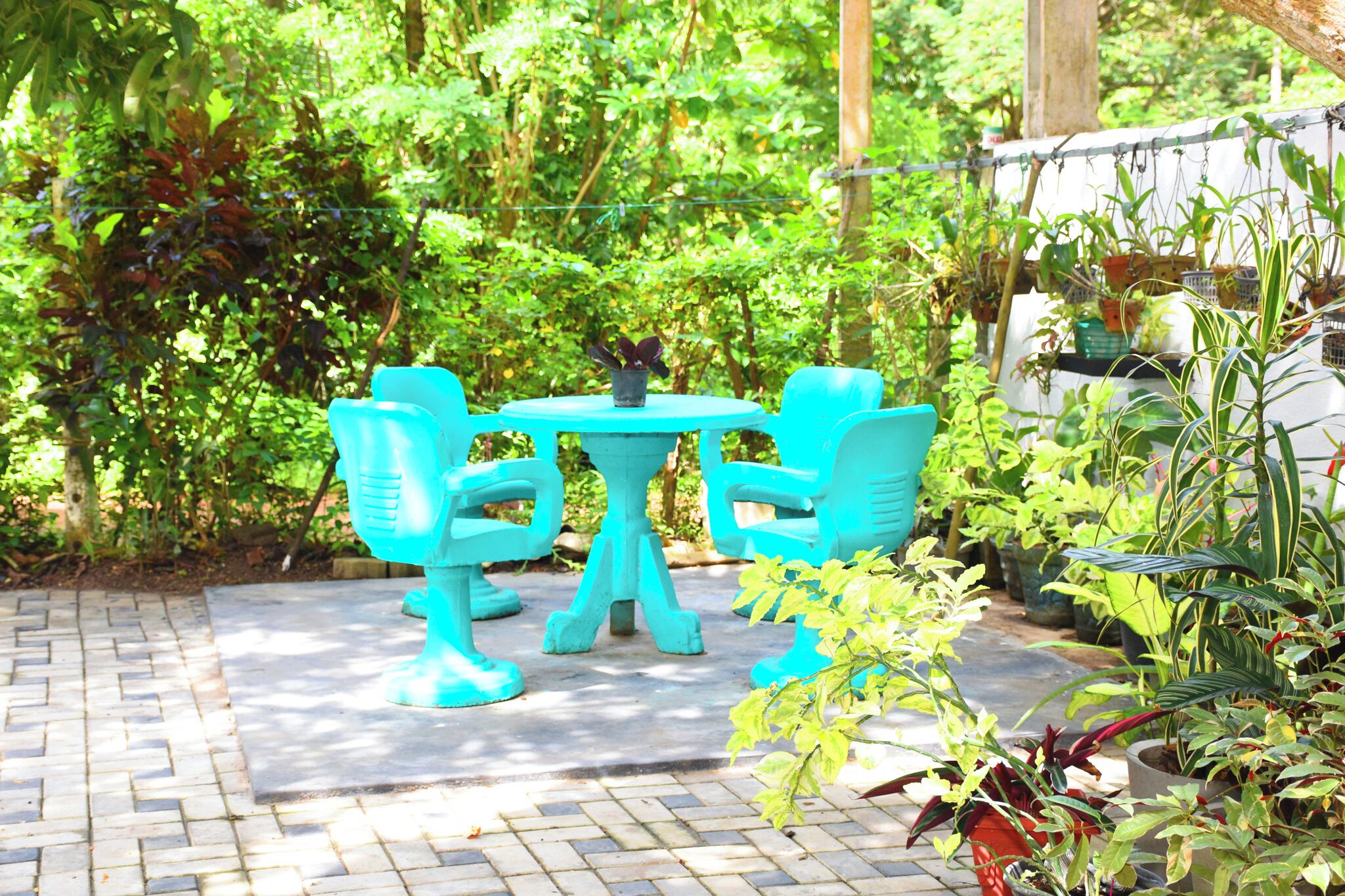 A patio area with turquoise outdoor furniture and a variety of potted plants.