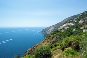 Miscellaneous - Sea Terrace (San Michele)