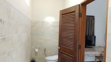 Shower, towels, soap, toilet paper