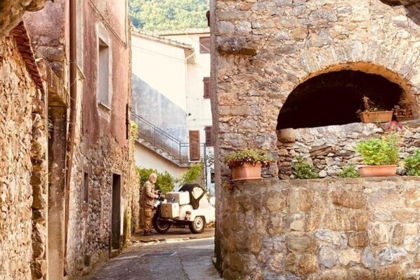 Property grounds - House inserted in a hamlet of 1600, in the green, behind the 5 Terre (Riccò del Golfo di Spezia)