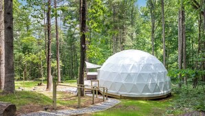 A geodesic dome structure in a forest setting with a wooden deck leading to a bed area. - Dream Dome - Romantic Retreat + Wifi A/C + Hot Tub (Luray)