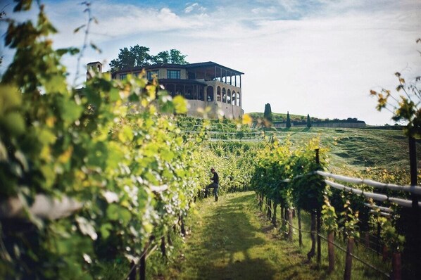 المنطقة المحيطة بالمنشأة